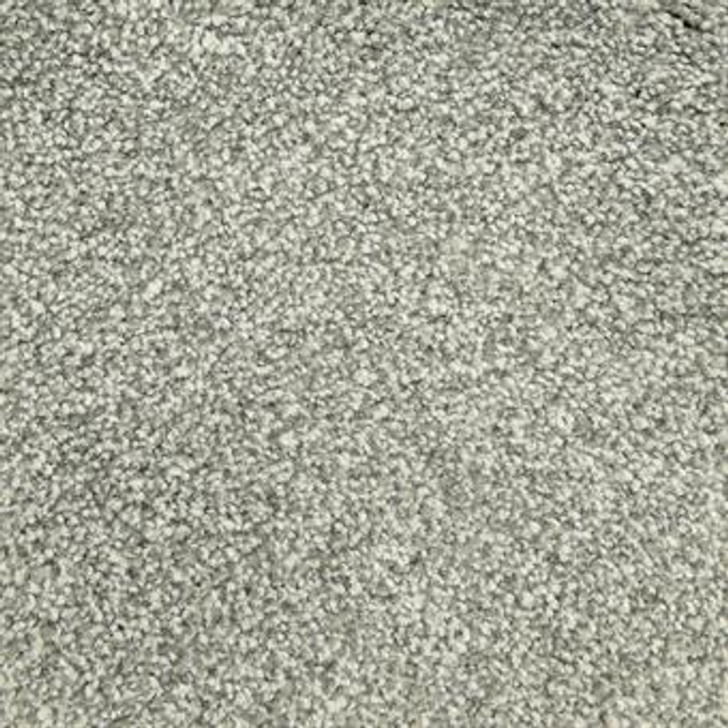 Masland Delray 9628 StainMaster Residential Carpet