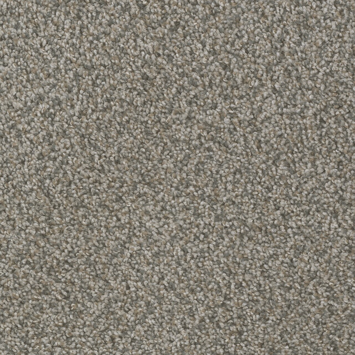 Dream Weaver Hot Pursuit 1424 Carpet at Georgia Carpet for Great Value
