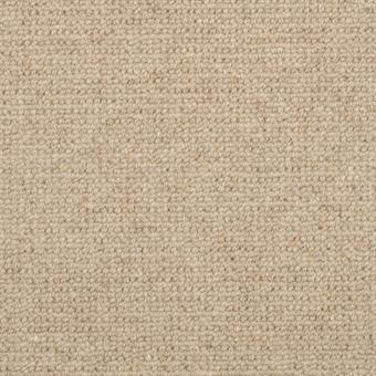 Buy Masland Dublin Wool Residential Carpet at Georgia Carpet