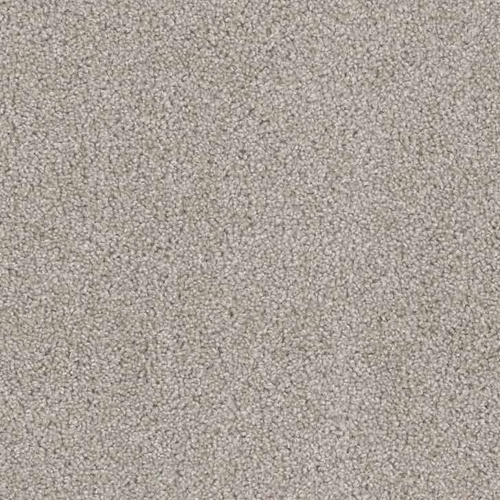 Dream Weaver Cedar Creek 2030 Carpet at Georgia Carpet for Great Value