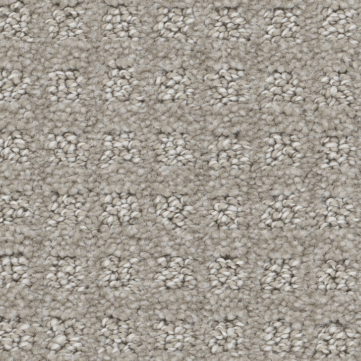 Dream Weaver Chamber S Bay 1332 Carpet At Georgia Carpet For Great Value
