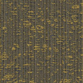 Buy Masland Dynamic Nylon Residential Carpet at Georgia Carpet