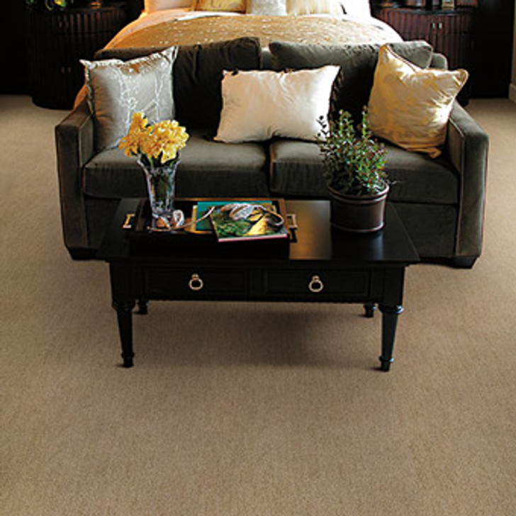 Buy Masland Firenze Residential Carpet at Carpet