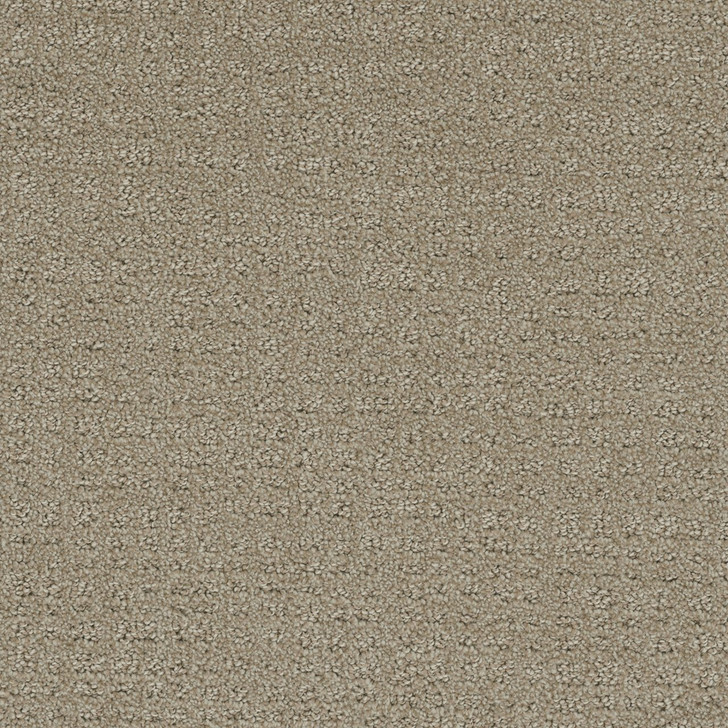 Dream Weaver Pinpoint 2870 Carpet at Georgia Carpet for Great Value