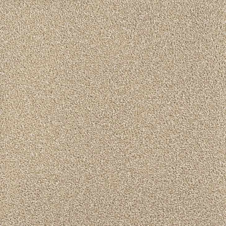 Dream Weaver Montauk 2560 Carpet at Georgia Carpet | Shop And Save