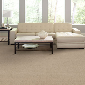 Buy Masland Gallantry Too Wool Residential Carpet at Carpet