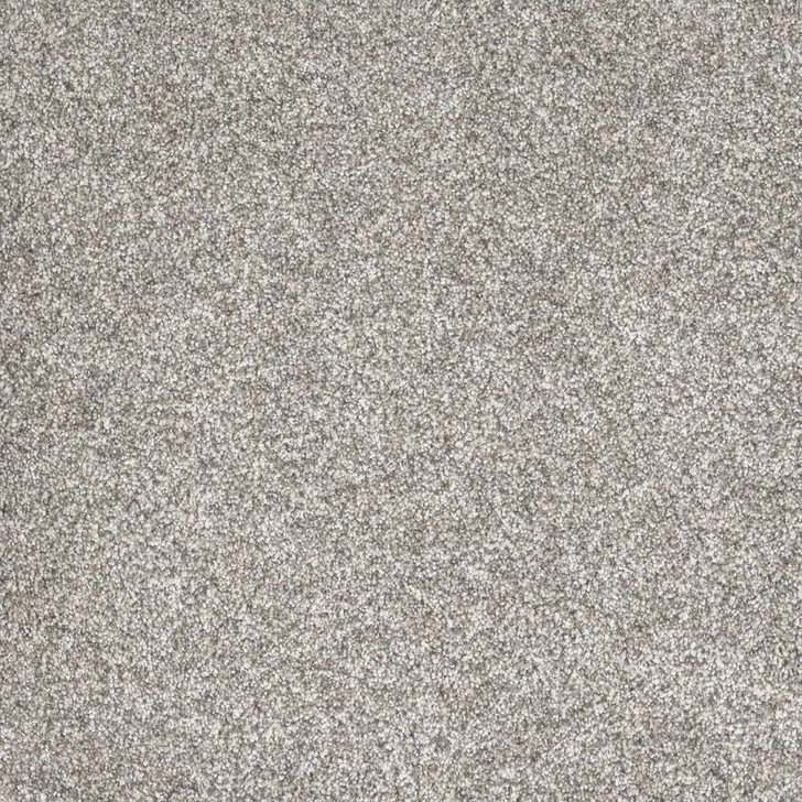Dream Weaver Gold Standard III Carpet at Georgia Carpet for Great