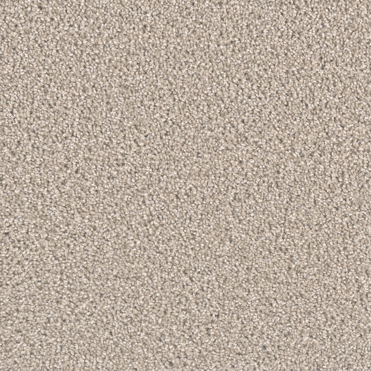 Dream Weaver Exceptional II 7404 Carpet at Georgia Carpet for