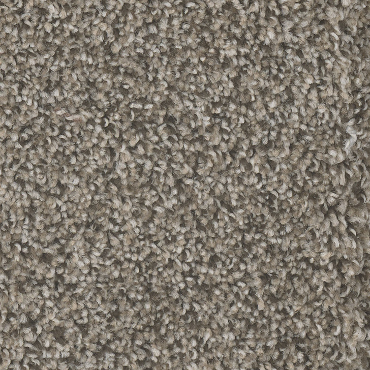 Dream Weaver Jackson Hole I 7543 Carpet at Georgia Carpet for