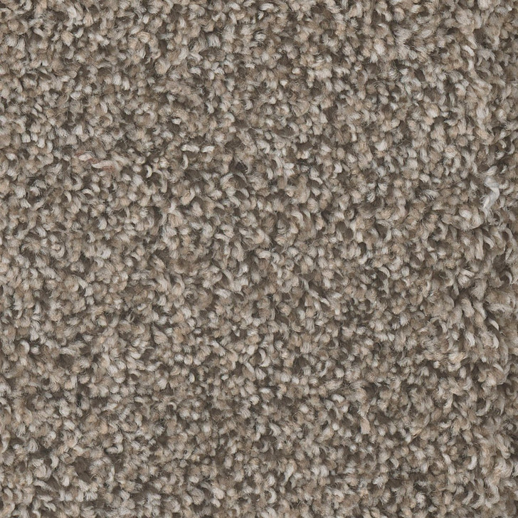Dream Weaver Jackson Hole II 7560 Carpet at Georgia Carpet for