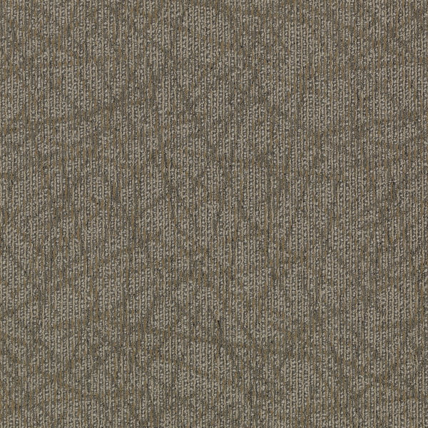 Buy Mohawk Brilliantly Amazed Carpet Tile at Georgia Carpet for