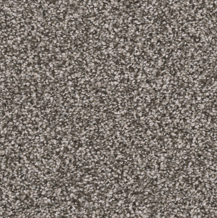 Dream Weaver Reflections III 5375 Carpet at Georgia Carpet for