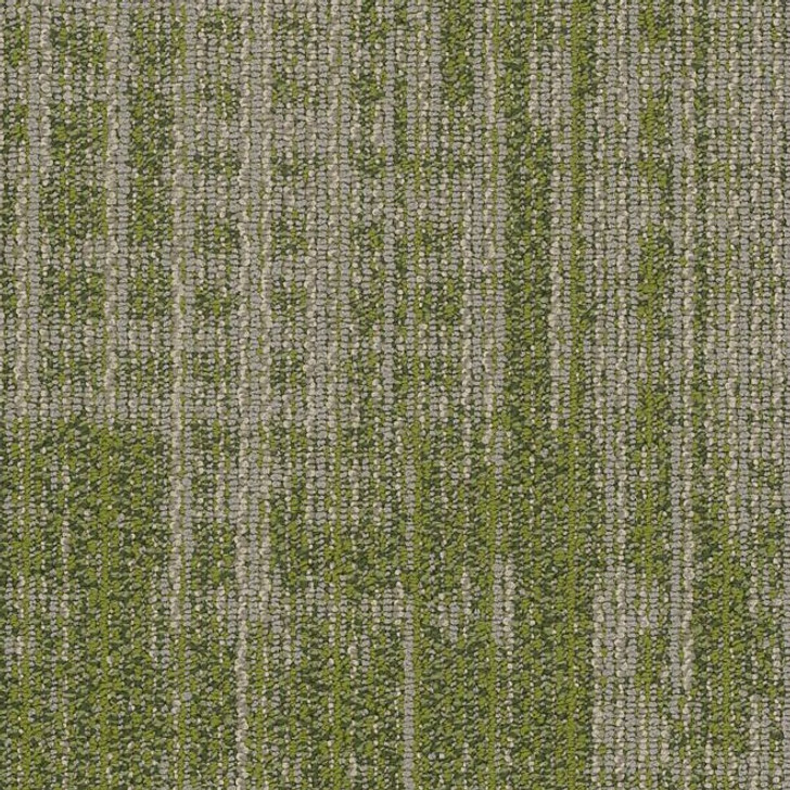 Shaw Philadelphia Mosaic Mix Harmony 54874 Commercial Carpet Tile