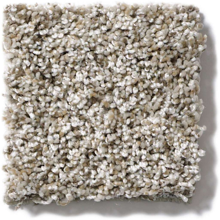 Shaw Simply The Best Nature Essence EA692 Residential Carpet