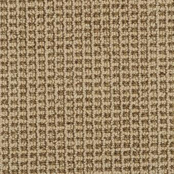 Buy Masland Tresor Wool Residential Carpet at Georgia Carpet