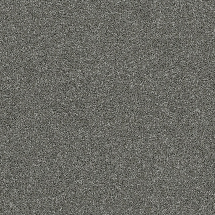 Engineered Floors Pentz Terrain 3050B Commercial Carpet