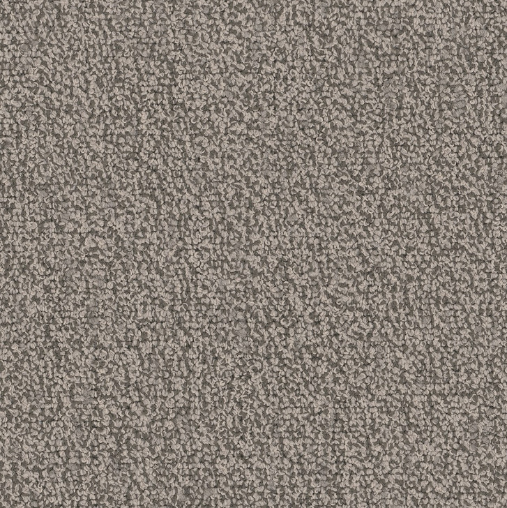 Engineered Floors Pentz Chivalry 26 Nylon Carpet 26oz | Georgia Carpet