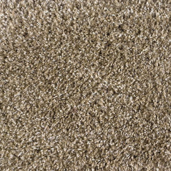 Buy Stanton Shaggy Plush Carpet at Georgia Carpet for A Great Value