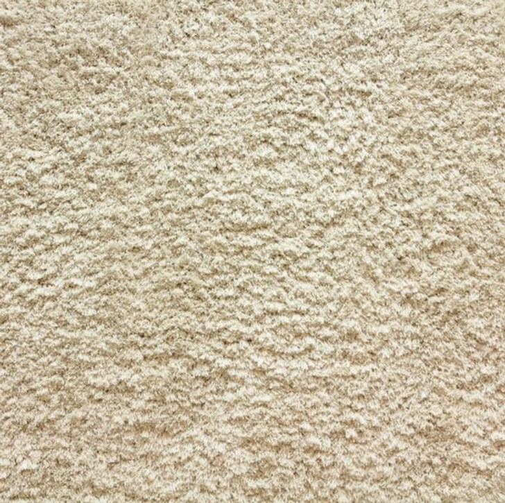 Stanton Avantgarde Shaggy Posh Polyester Fiber Residential Carpet