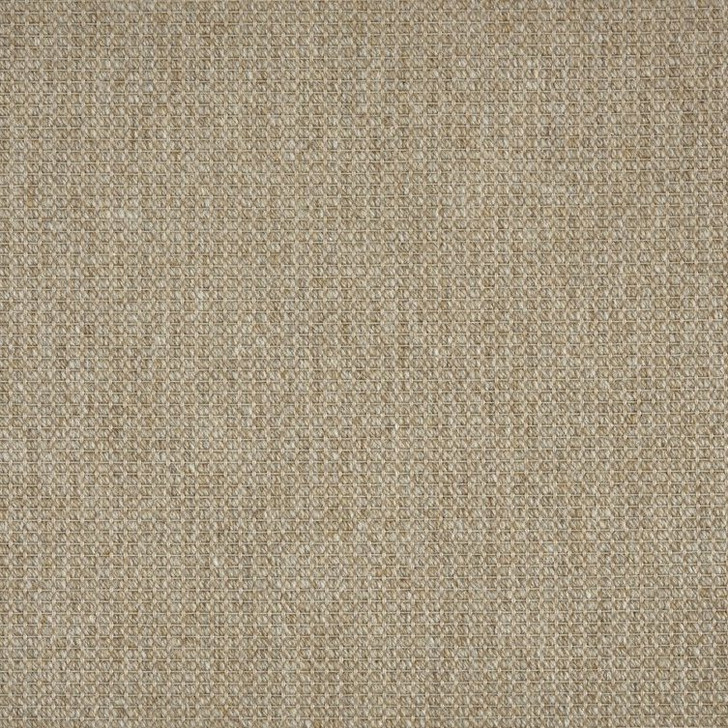 Stanton Elements Ribcord II Polypropylene Blend Residential Carpet