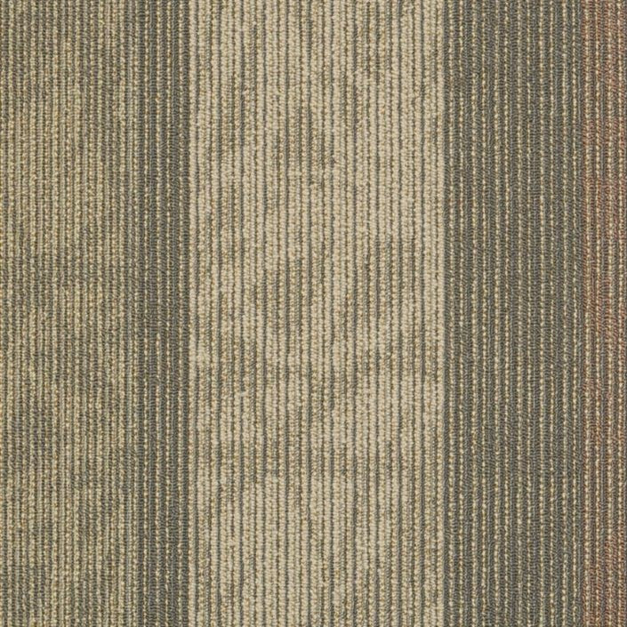 Buy Shaw Philadelphia Static Carpet Tile at Georgia Carpet