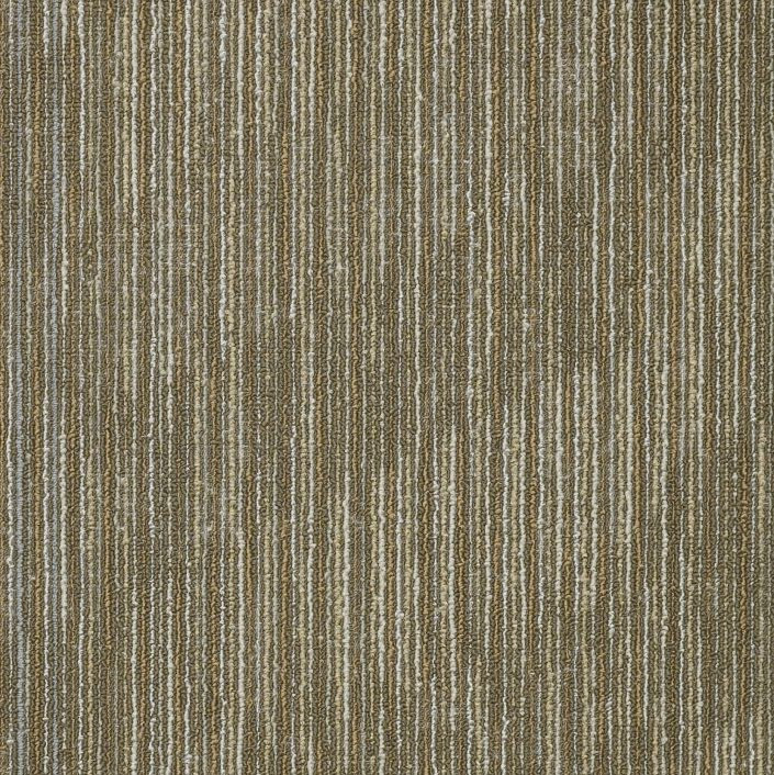Buy Shaw Philadelphia Shifting Gears Carpet Tile at Georgia Carpet