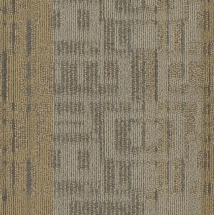 Buy Shaw Philadelphia Intermix Carpet Tile at Georgia Carpet