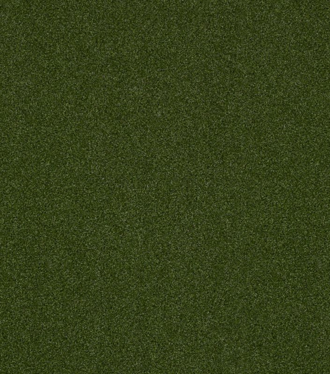 Shaw Philadelphia Performance Turf Agility Unitary 00300 Green 54656 Indoor Outdoor Artificial Turf Carpet