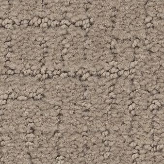 Shaw Anderson Tuftex One More Hour Nylon Carpet 29oz | Georgia Carpet