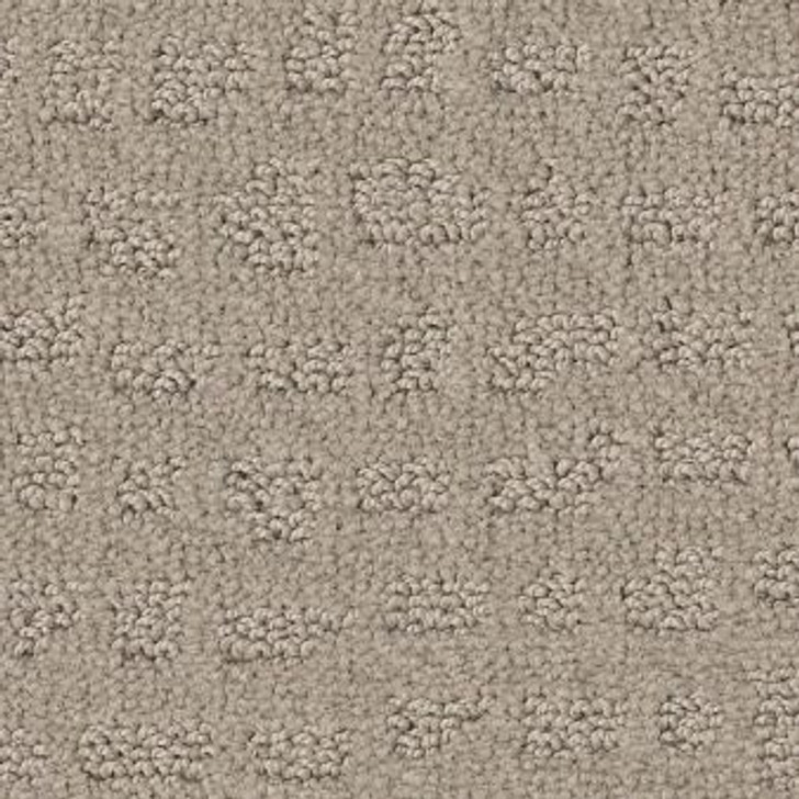 Shaw Anderson Tuftex Solstice ZZ264 Residential Carpet