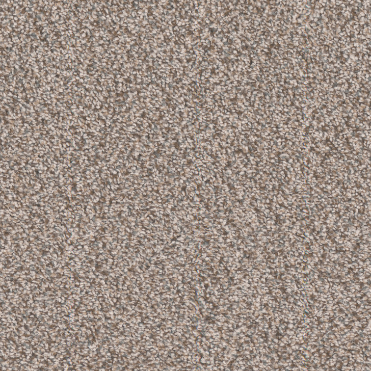 Buy Tarkett Candler Park R1148 Residential Carpet at Georgia