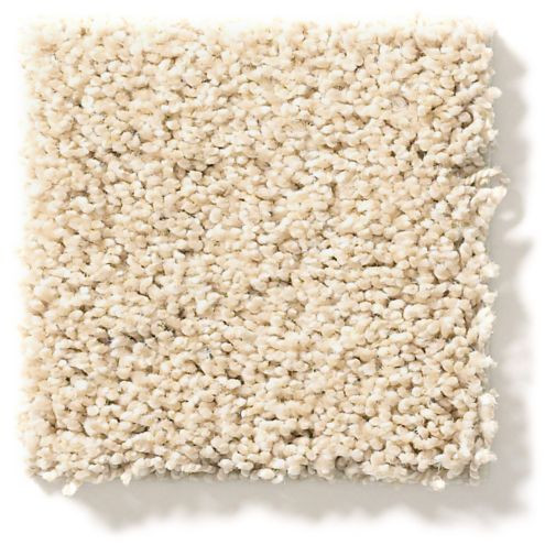 Shaw Anderson Tuftex Acadia Park Nylon Carpet 34oz | Georgia Carpet