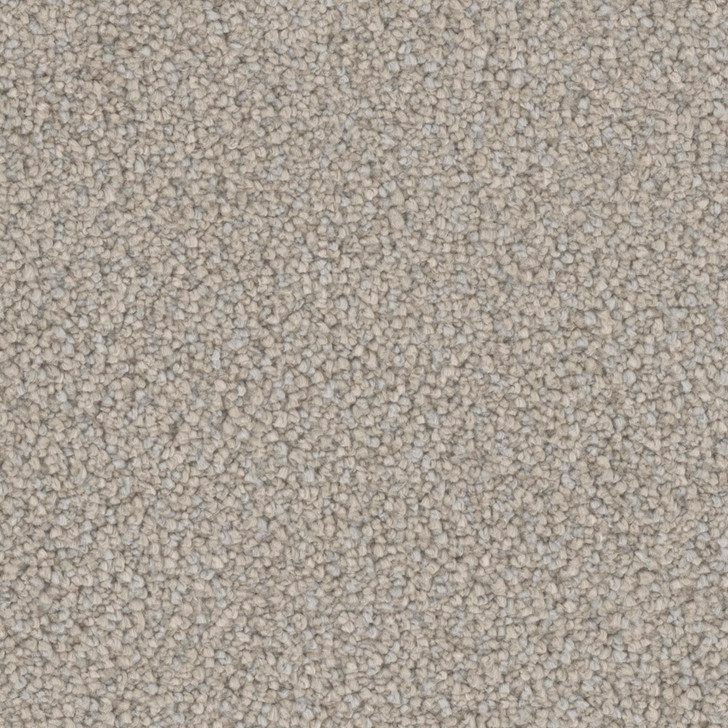 Tarkett Soft Spoken S1068 Residential Carpet