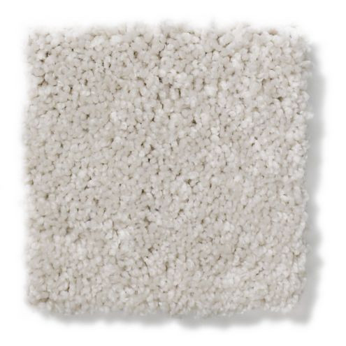 Shaw Anderson Tuftex Serendipity I Nylon Carpet 29oz | Georgia Carpet