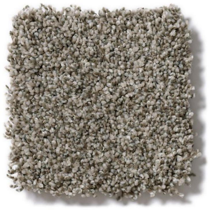 Shaw Anderson Tuftex Pet Perfect Oliver's Twist ZZ015 Residential Carpet