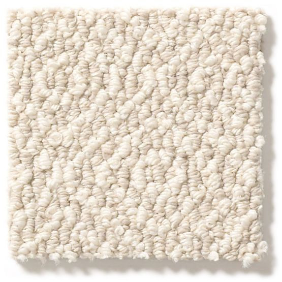 Shaw Anderson Tuftex Marley Nylon Carpet 31.2oz | Georgia Carpet