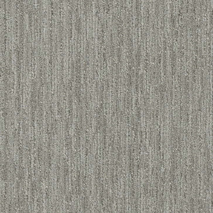 Shop DW Select Baja Carpet at Georgia Carpet - Great Deal Shop DW Select Baja Carpet at Georgia Carpet - Great Deal
