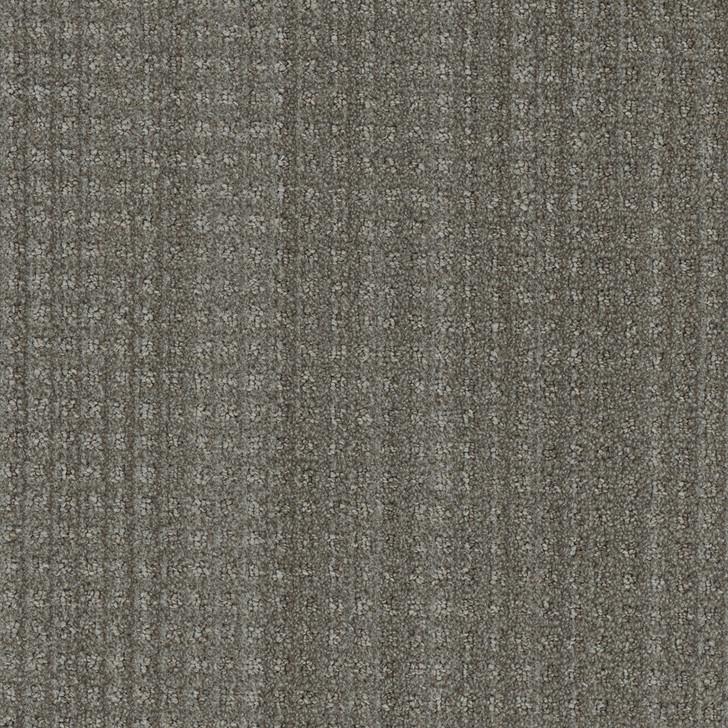 DW Select Dublin 8631 Residential Carpet