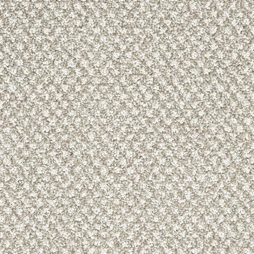 Dixie Home Finery is Available for a Great Price at Georgia Carpet.