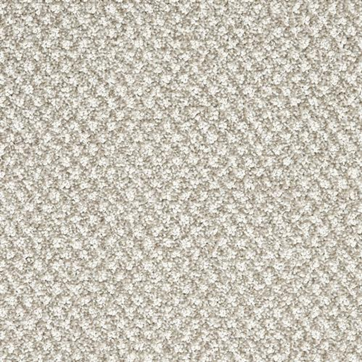 Dixie Home Finery D029 Residential Carpet