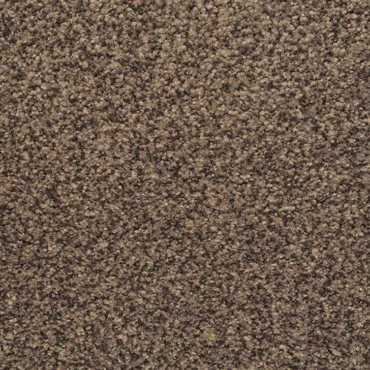 Dixie Home Chromatic Touch 2368 Residential Carpet