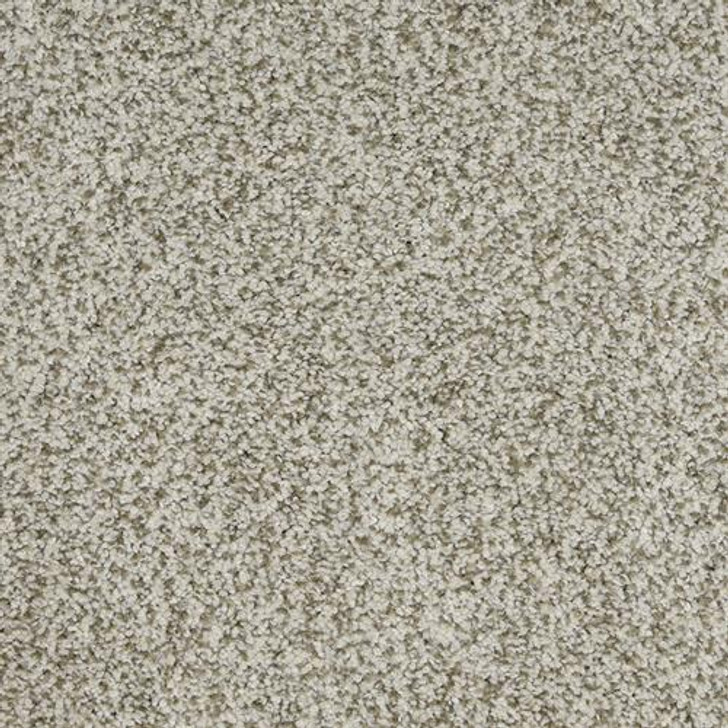 Dixie Home New Age D031 Residential Carpet