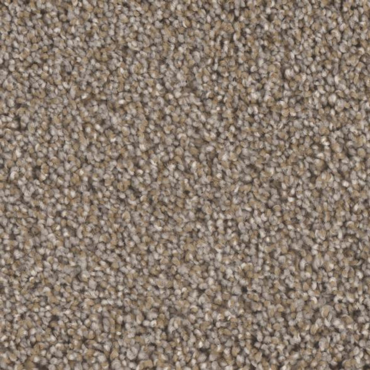 Phenix Blessed MB113 Residential Carpet