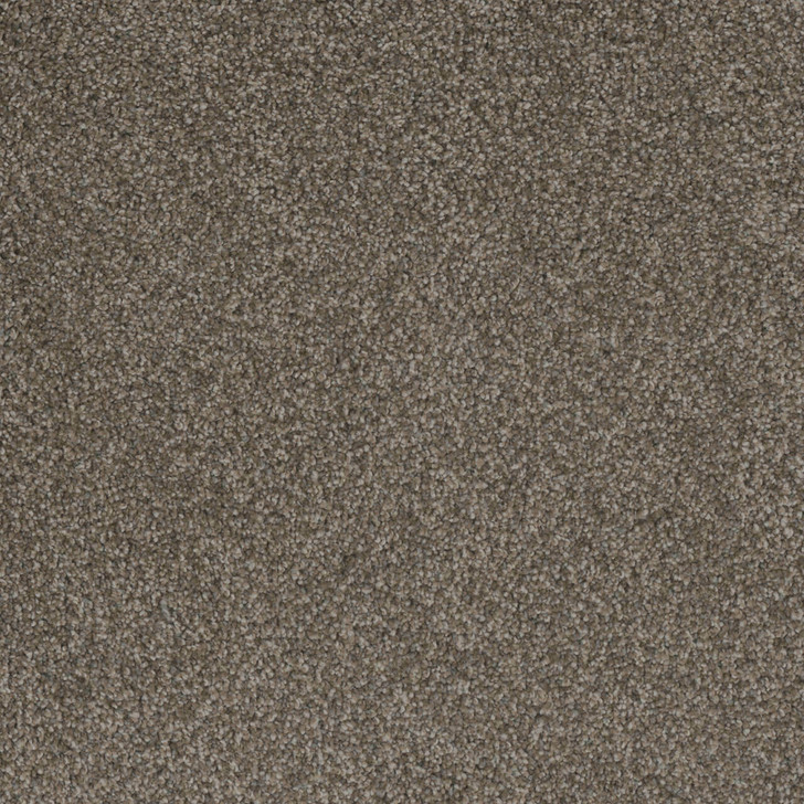 Dreamweaver Crown Garden I 2345 Residential Carpet