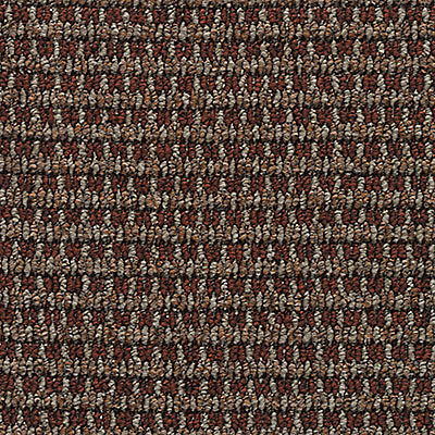 Buy Mohawk City Park II AQ182 Residential Carpet for A Great Value