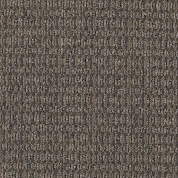 Buy Mohawk Contemplate AQ65 Residential Carpet for A Great Value