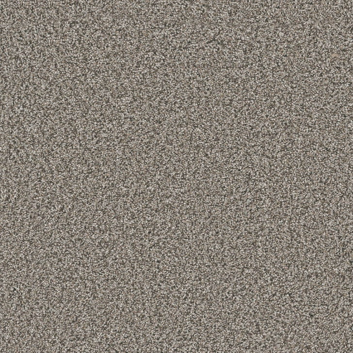 Dreamweaver Windy City III 4948 Carpet at Georgia Carpet for Great