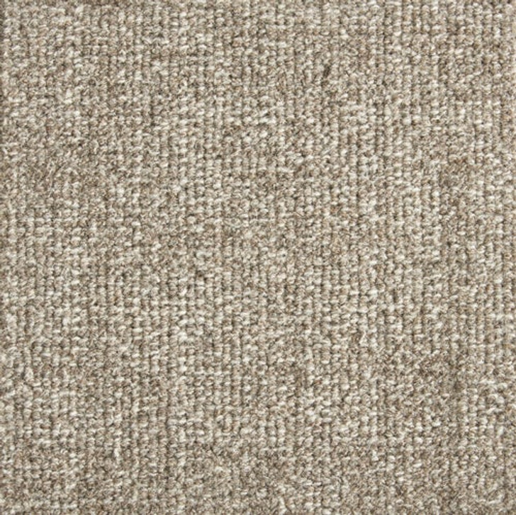 Stanton Antrim Zane Wool Fiber Residential Carpet