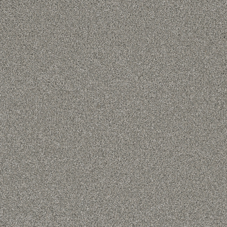 Dreamweaver Royale I 5137 Residential Carpet