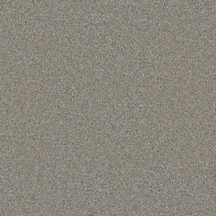 Dreamweaver Royale II 5146 Residential Carpet Room Scene